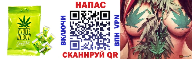 Купить где  Курильск  Cannafood конопля 