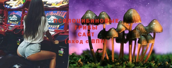 бошки Белоозёрский