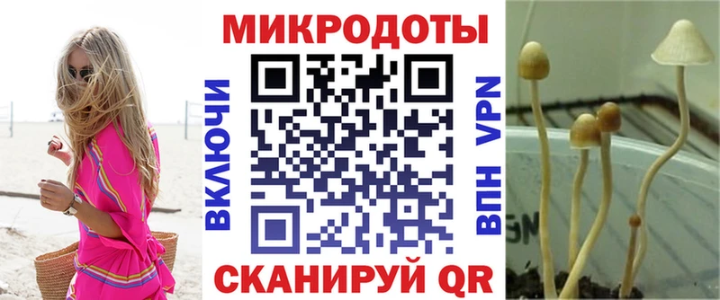 Галлюциногенные грибы Psilocybine cubensis  Купить закладки  Курильск 